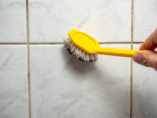Best Bathroom Mold Remediation in Helena, MT