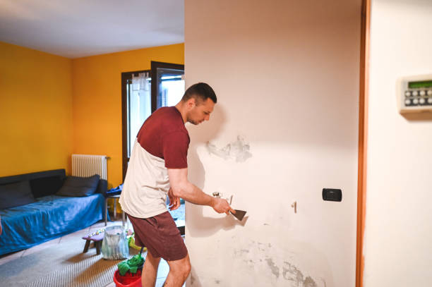 Best Preventive Mold Services in Helena, MT